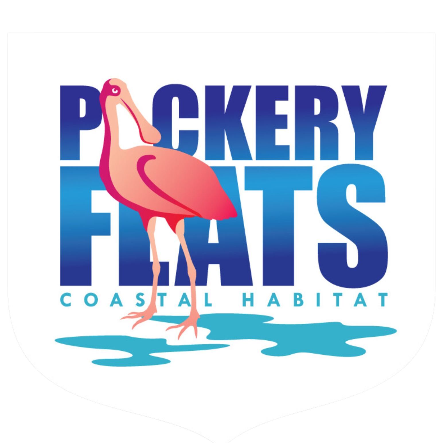 Packery Flats Winter Cleanup 2025 - logo